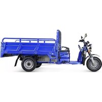 Грузовой электроскутер Rutrike Эксперт ПРО 2000 - Превью изображения №2 — Интернет-магазин 55texno.by