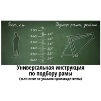 Велосипед Delta Butterfly 26 2614 (серый) - Превью изображения №11 — Интернет-магазин 55texno.by