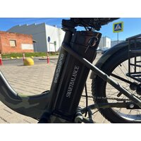 Электровелосипед Smart Balance Tank Trike 2024 (камуфляж) - Превью изображения №4 — Интернет-магазин 55texno.by