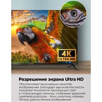 Телевизор MAUNFELD MLT43USD02 - Превью изображения №3 — Интернет-магазин 55texno.by