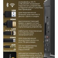 Телевизор MAUNFELD MLT43USD02 - Превью изображения №8 — Интернет-магазин 55texno.by