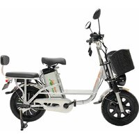 GreenCamel Транк Монстр R16FAT (500Вт 48В 15Ач)