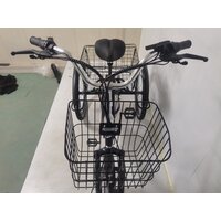 Электровелосипед Shtenli Trike 31 36V12A - Превью изображения №4 — Интернет-магазин 55texno.by